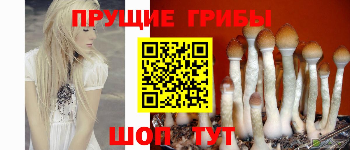Галлюциногенные грибы Cubensis  Вход с VPN  Кострома 